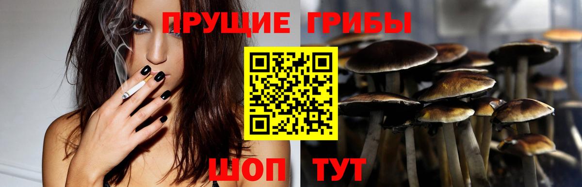Галлюциногенные грибы Magic Shrooms  Вход с VPN  Мытищи  Галлюциногенные грибы прущие грибы 