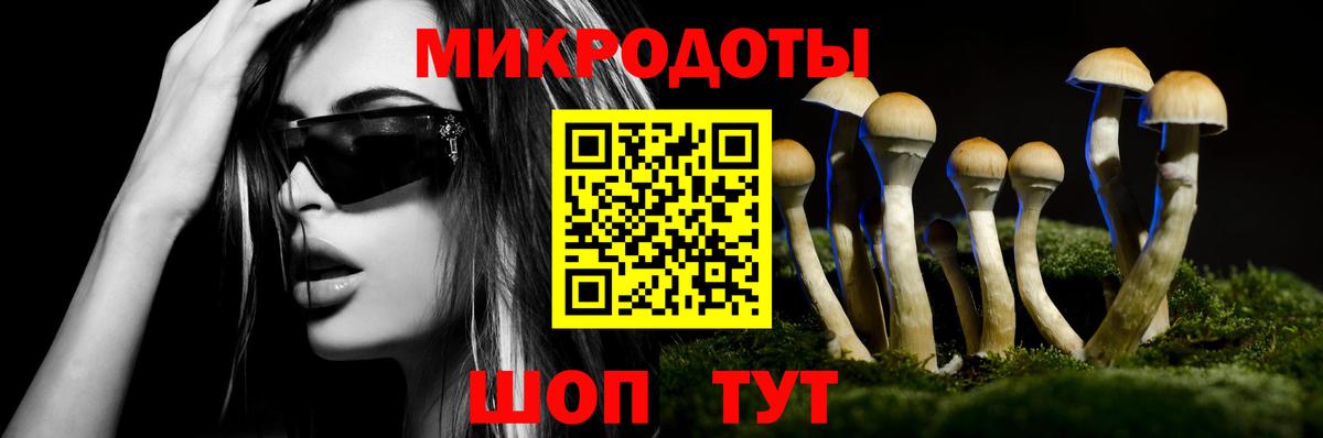 Псилоцибиновые грибы ЛСД Мытищи